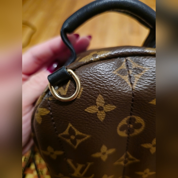 Louis Vuitton Palm Springs Mini - Picture 5 of 11